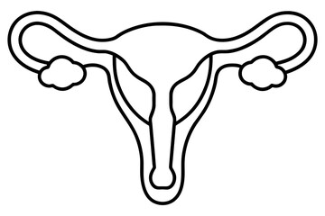 reproductive system line art silhouette illustration