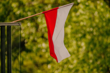 Polska Flaga na balkonie © rozentuzjazmowany