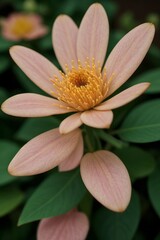 Fototapeta premium close up shot professional photograph of single flower