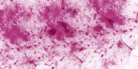 black and white vintage background. Abstract texture background 

