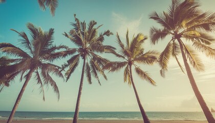 Fototapeta na wymiar summer beach background palm trees against blue sky banner panorama travel destination tropical beach background with palm trees silhouette at sunset vintage effect meditation peaceful nature view
