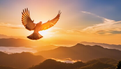 bird sunset flight inspirational flying motivational divine sky hope sunrise banner header