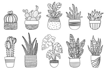 Hand drawn set of house plants in pots, Trendy outline doodle drawing of monstera, succulents, banana palm, cactus. Design element isolated