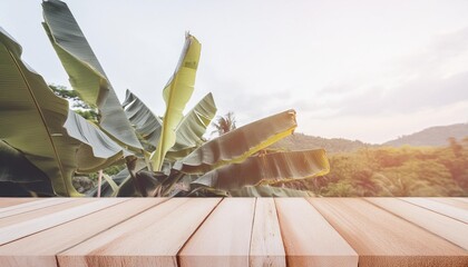 wood tabletop podium floor in outdoors blur green banana leaf tropical forest nature landscape...