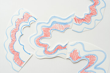 abstract wavy paper shapes with corresponding blue and red lines on blank paper