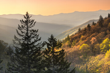 Beautiful Sunrise In Smoky Mountains of Tennessee