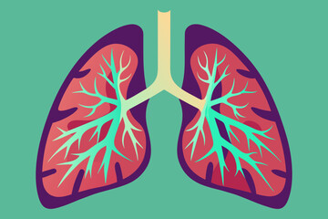 lungs vector illustration