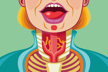 throat vector illustration