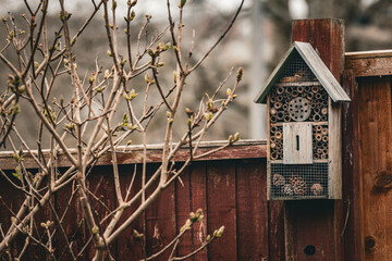 Buzzing Bliss The Bee Haven