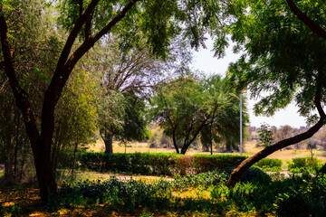 Beautiful green park during daytime