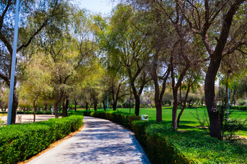 Beautiful green park during daytime