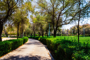Fototapeta na wymiar Beautiful green park during daytime