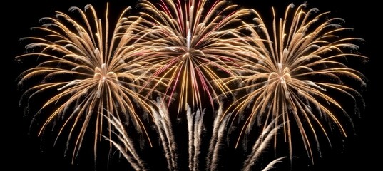 Obraz premium Spectacular vibrant fireworks create a mesmerizing display in the dark and enchanting night sky