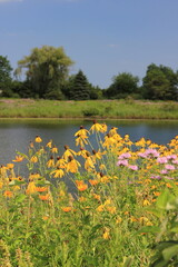 lake and flowers