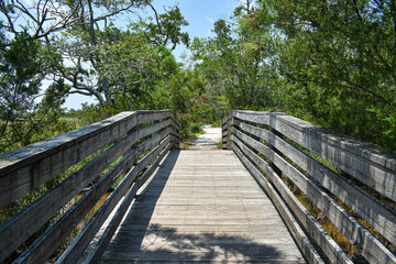 Obraz premium wooden bridge to a sandy path at the beach