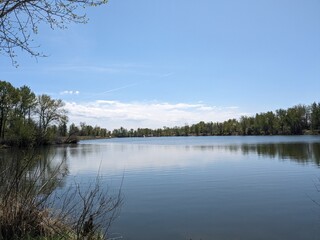 Obraz premium lake and trees