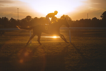 Horse racing at sunset
