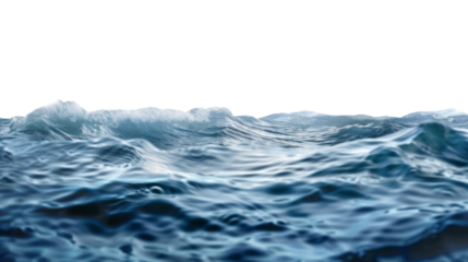 Sea water surface isolated on transparent background cutout. Isolated on white background