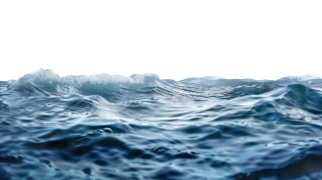 Sea water surface isolated on transparent background cutout. Isolated on white background