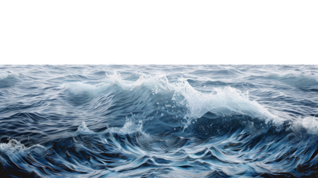 Sea water surface isolated on transparent background cutout. Isolated on white background