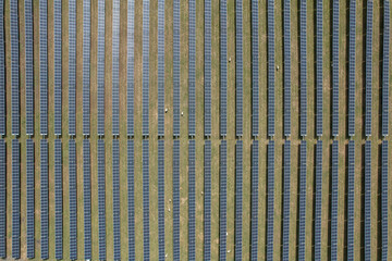 Distant Aerial View of Sheep Grazing Among Solar Panels at Warwick Solar Farm, Queensland
