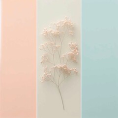  Dried flower on pastel background