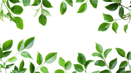 Green leaves Plant isolated white background - Powered by Adobe