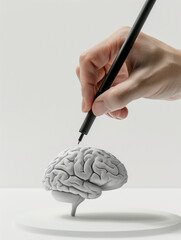 Hand Drawing on Brain Model with Fine Tip Pen in Clean Studio Setting