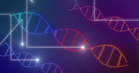 Image of dna strands spinning over white glowing lines