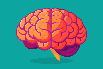 brain vector illustration