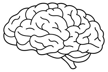 brain line art silhouette illustration