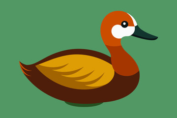 ruddy duck vector illustration