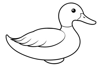 ruddy duck line art silhouette illustration