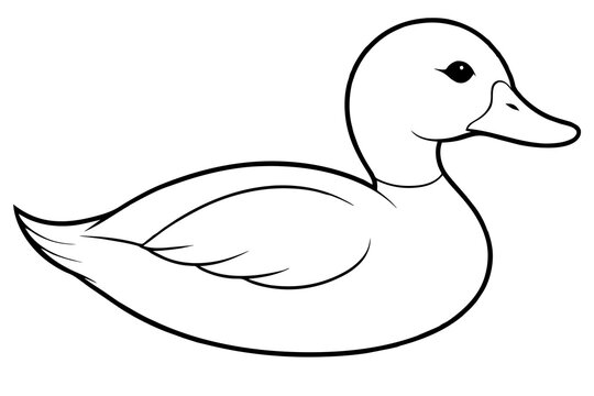 recommend clip art: ruddy duck line art silhouette illustration