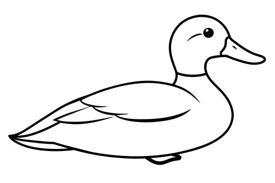recommend clip art: ruddy duck line art silhouette illustration