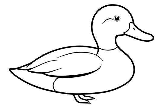 recommend clip art: ruddy duck line art silhouette illustration