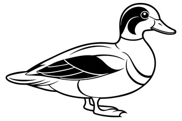 wood duck line art silhouette illustration