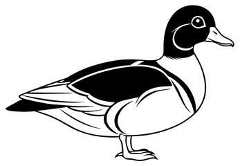 wood duck line art silhouette illustration