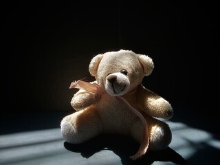 Interesting teddy bear photo concept.
