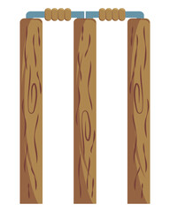 cricket game equipment