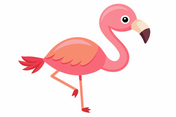 flamingo bird cartoon vector illustration