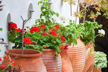 おしゃれな茶色い花瓶で育てる植物