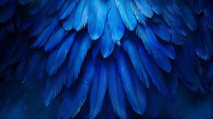 Fototapeta premium Blue Colored bird Feathers wallpaper