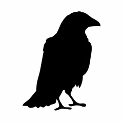 black silhouette of a crow