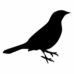 black silhouette of a crow