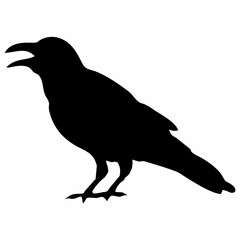black silhouette of a crow