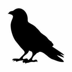 black silhouette of a crow