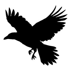 black silhouette of a crow