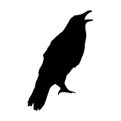 black silhouette of a crow