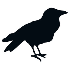 black silhouette of a crow